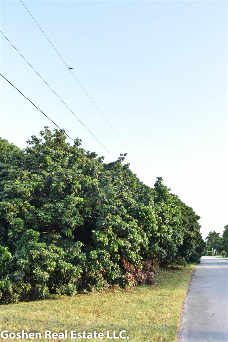 LYCHEE WOODS PLAT - Land