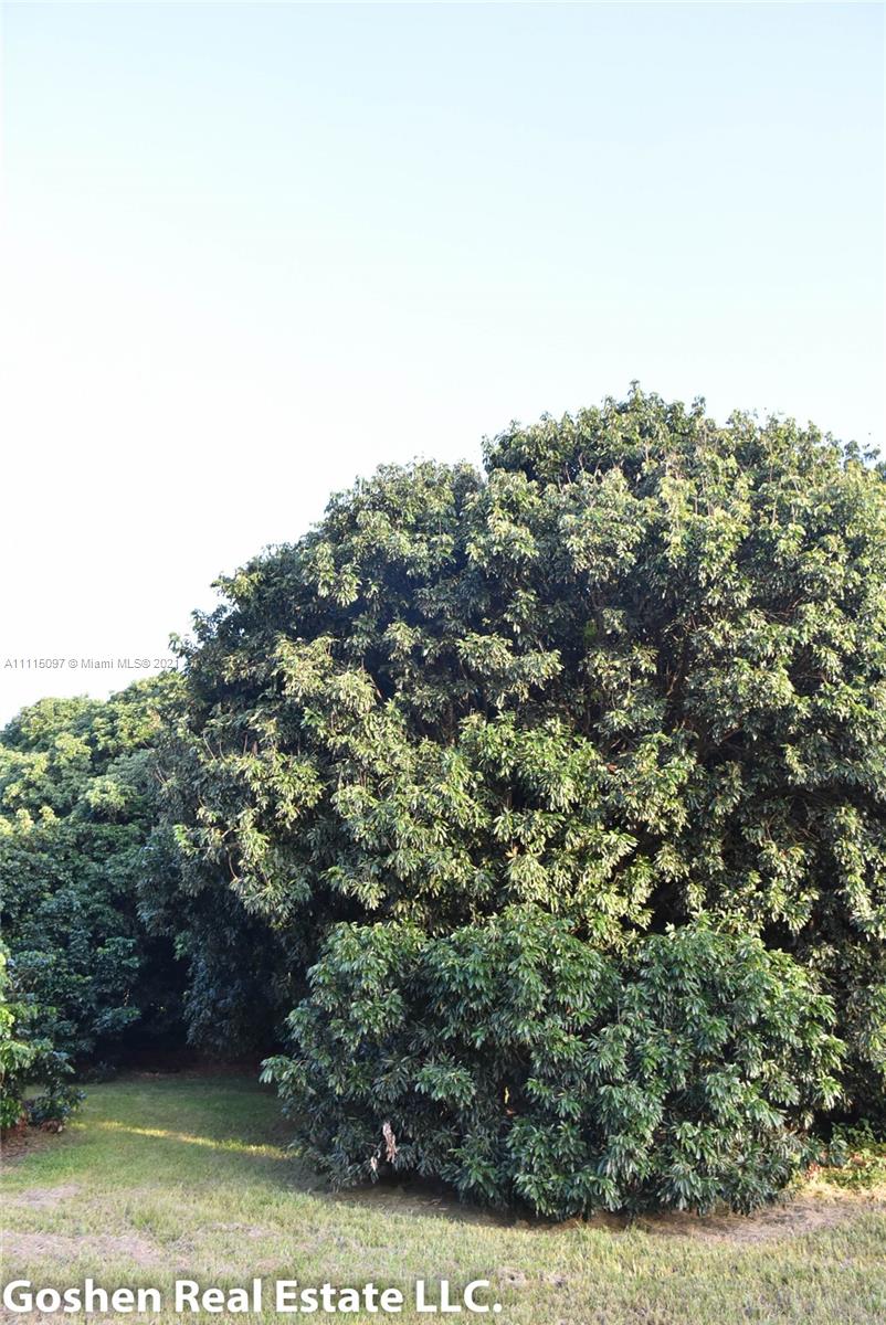 LYCHEE WOODS PLAT - Land
