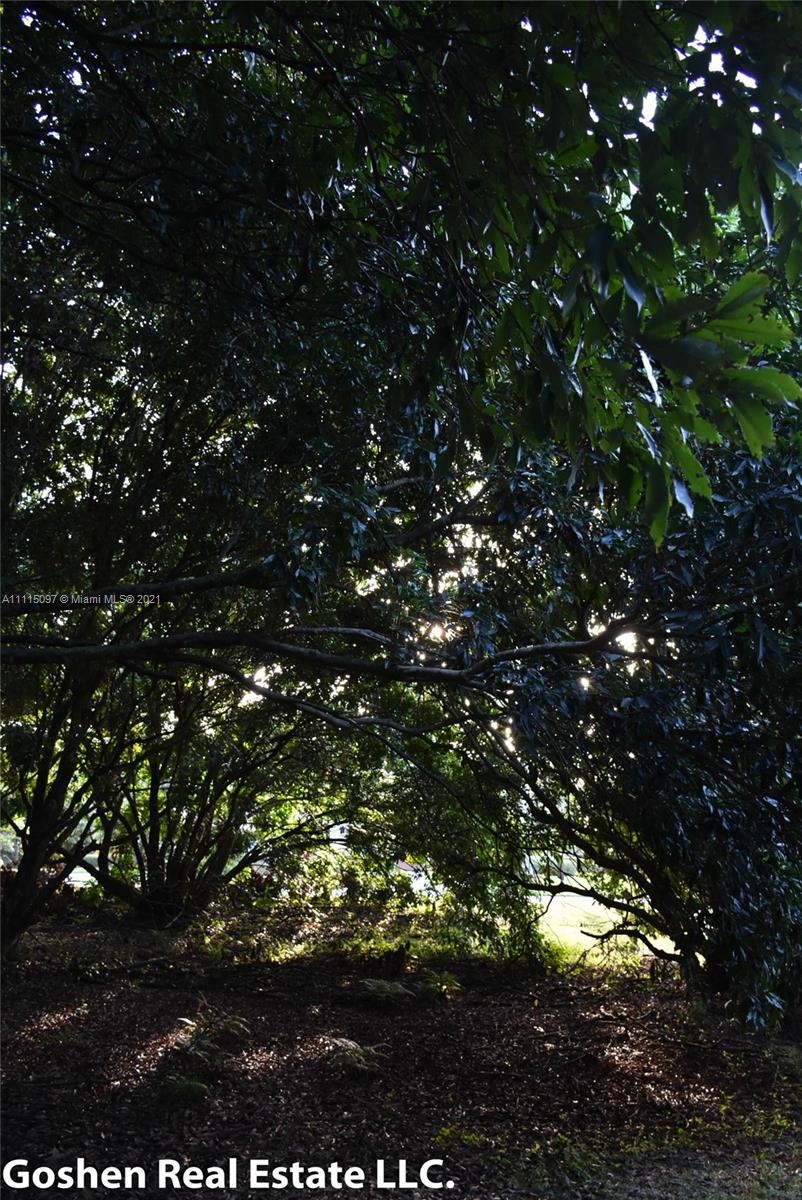 LYCHEE WOODS PLAT - Land