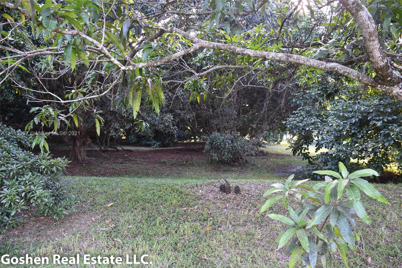 LYCHEE WOODS PLAT - Land