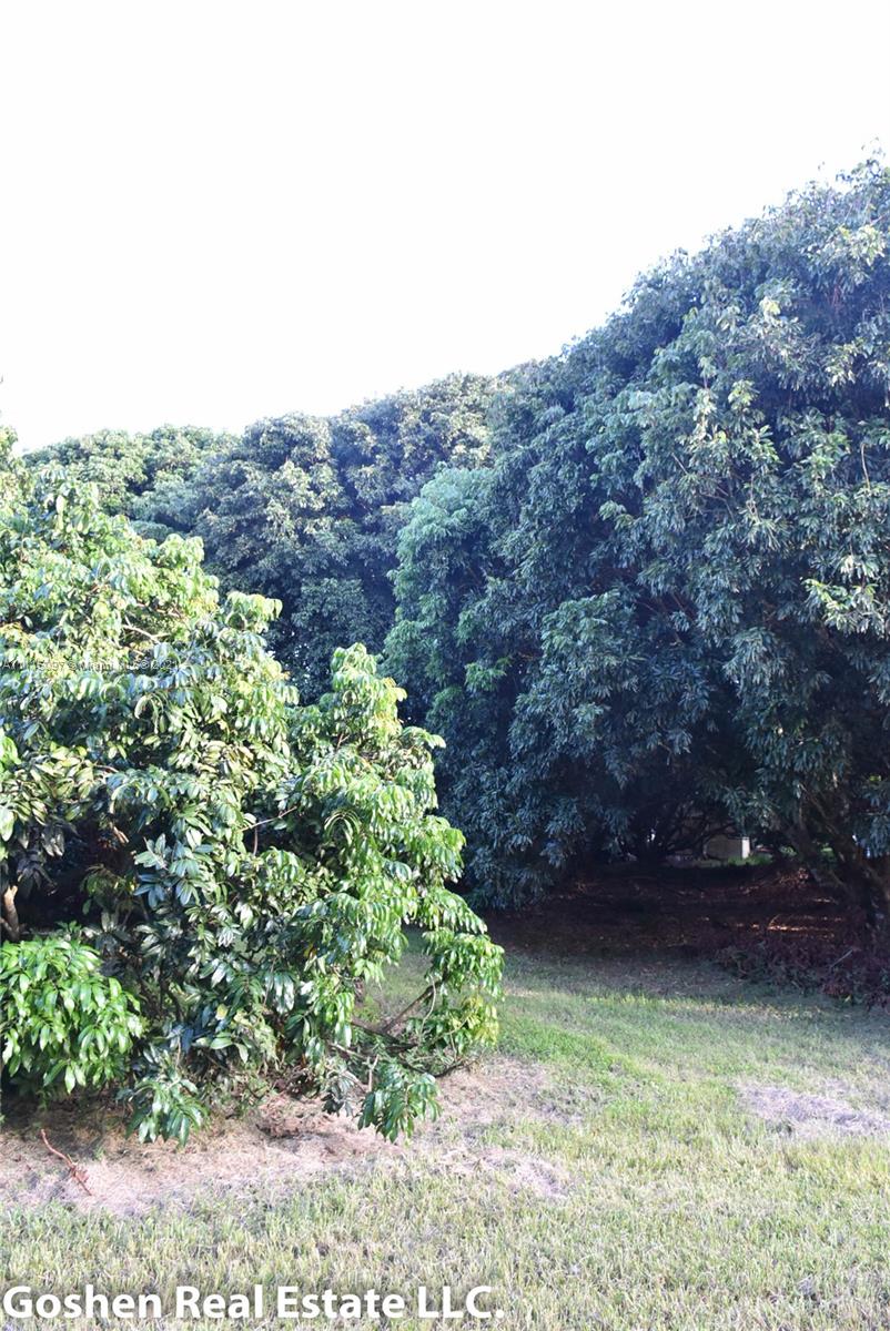 LYCHEE WOODS PLAT - Land