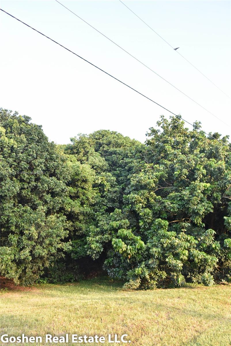 LYCHEE WOODS PLAT - Land