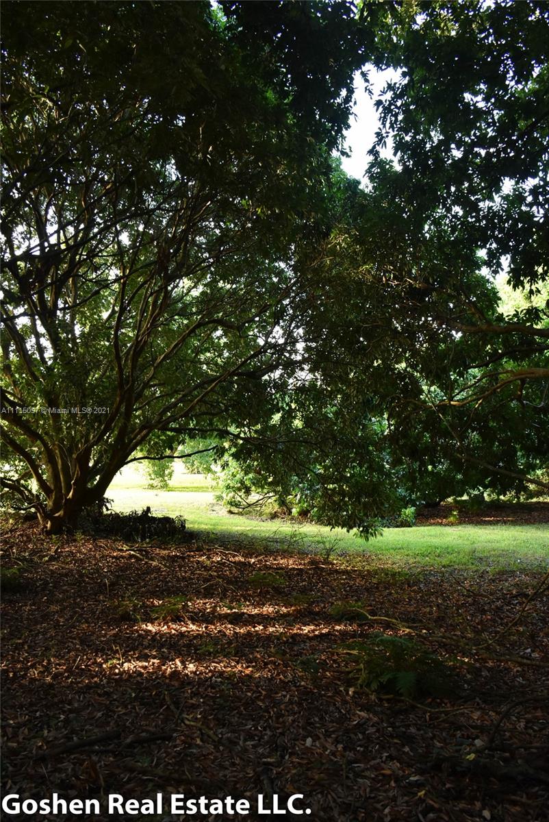 LYCHEE WOODS PLAT - Land