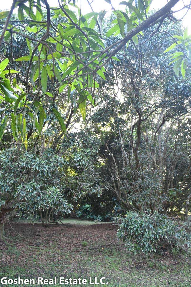 LYCHEE WOODS PLAT - Land