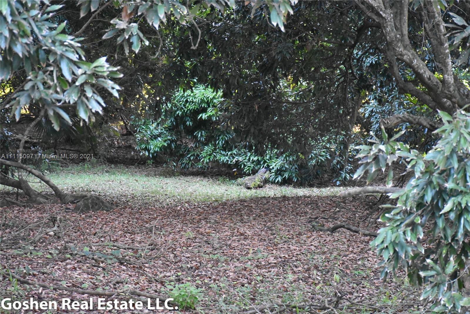 LYCHEE WOODS PLAT - Land