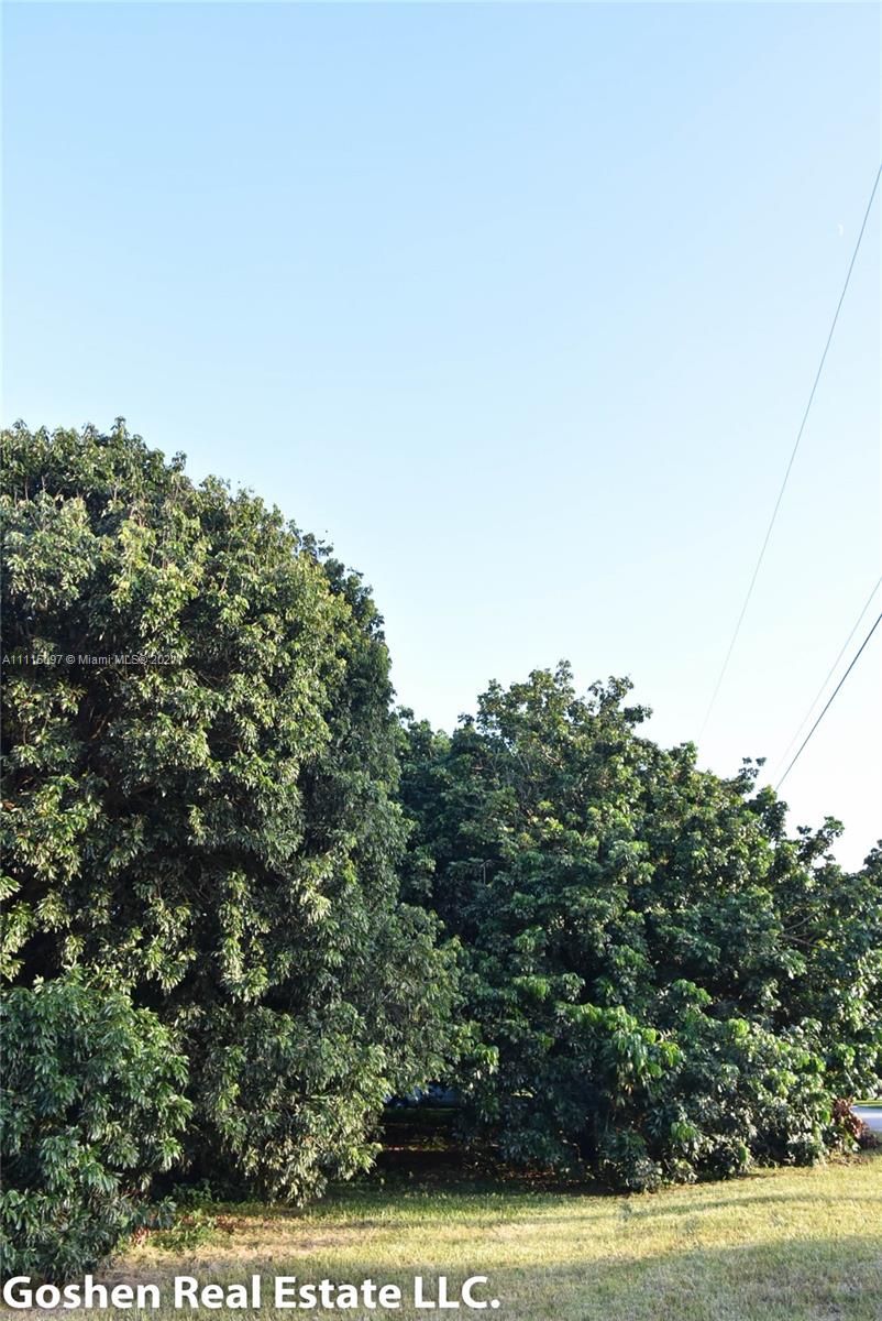 LYCHEE WOODS PLAT - Land