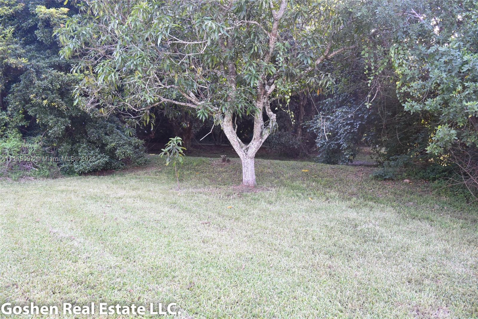 LYCHEE WOODS PLAT - Land