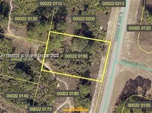 This is a great opportunity to build your dream home in a very desirable area of Lehigh Acres. There is a lot of new construction going on in the area. A 30-mile drive from the Gulf of Mexico.