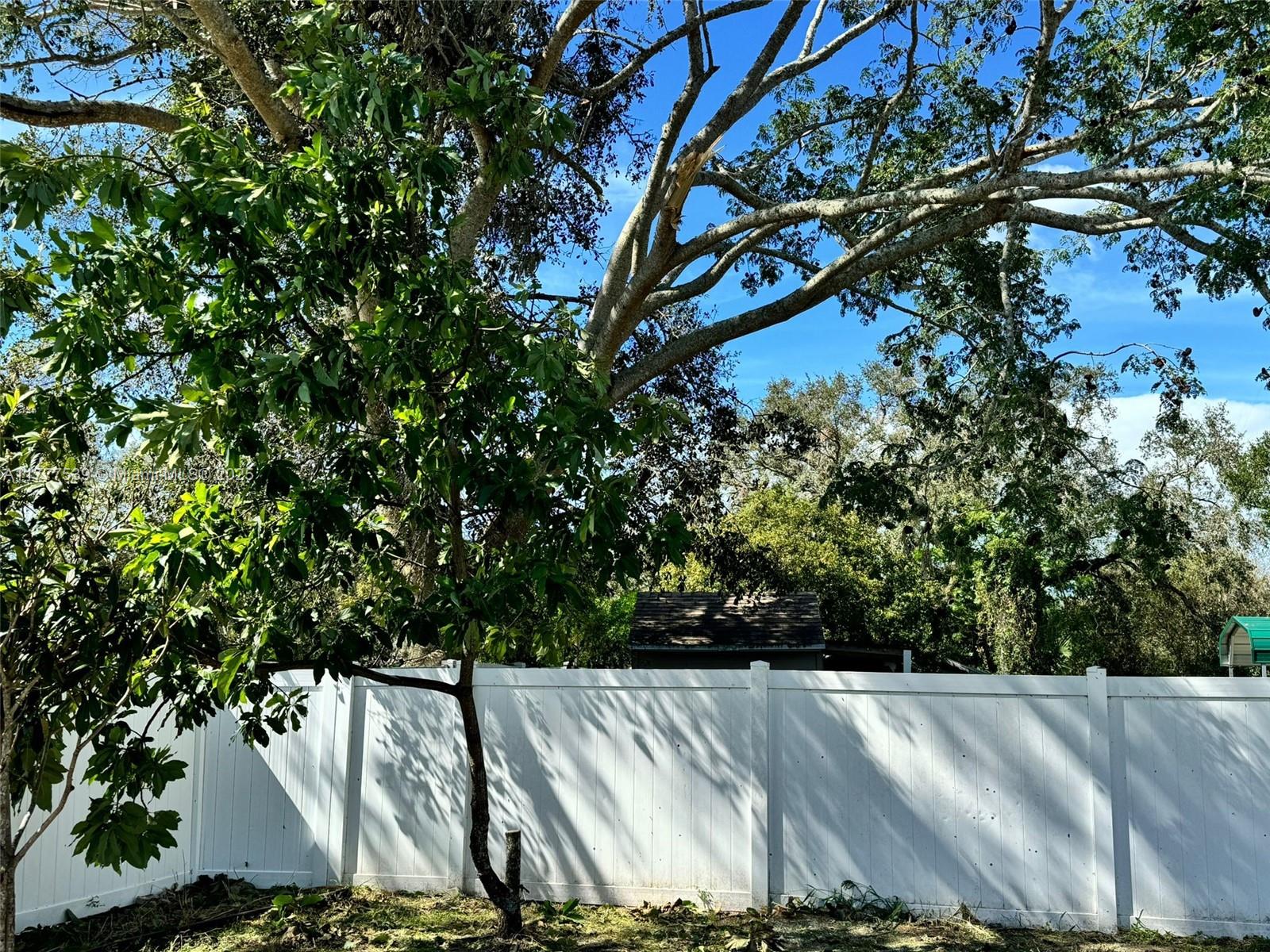 winter gardens - Residential