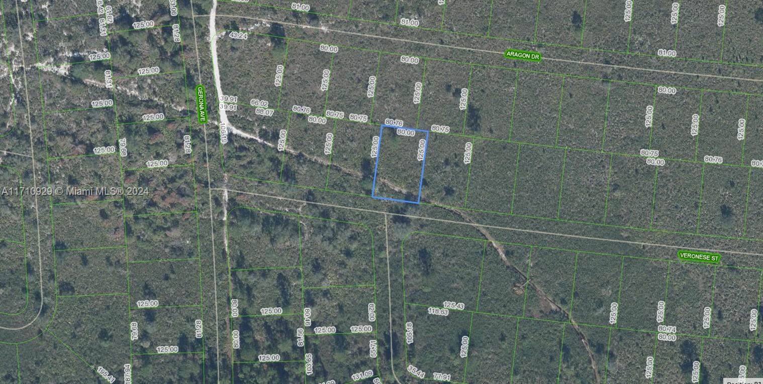 OWNER WILL FINANCE!!! Spacious lot size measuring 125 x 80 sq ft. This lot is near a new water facility that will be coming soon to the area. Sun N Lakes community, a perfect place to build your dream home in which to raise your kids or retire. The Sun N Lakes community offers 2 18-Hole championship golf courses, restaurant, clubhouse, gym, playground, community pool, splash pad, community center, fitness center, pickle ball, and tennis. Sebring is centrally located 1.5 hours from Disney, 1.5 hours from Tampa and 1.45 hours from Ana Maria Island Beaches. Located close to Advent health and Sun N Lake Elementary. Lots are going quickly! Come check it out today! OWNER WILL FINANCE!!! 2K DOWN $305.68 A MONTH FOR 36 MONTHS AT 7% INTEREST.