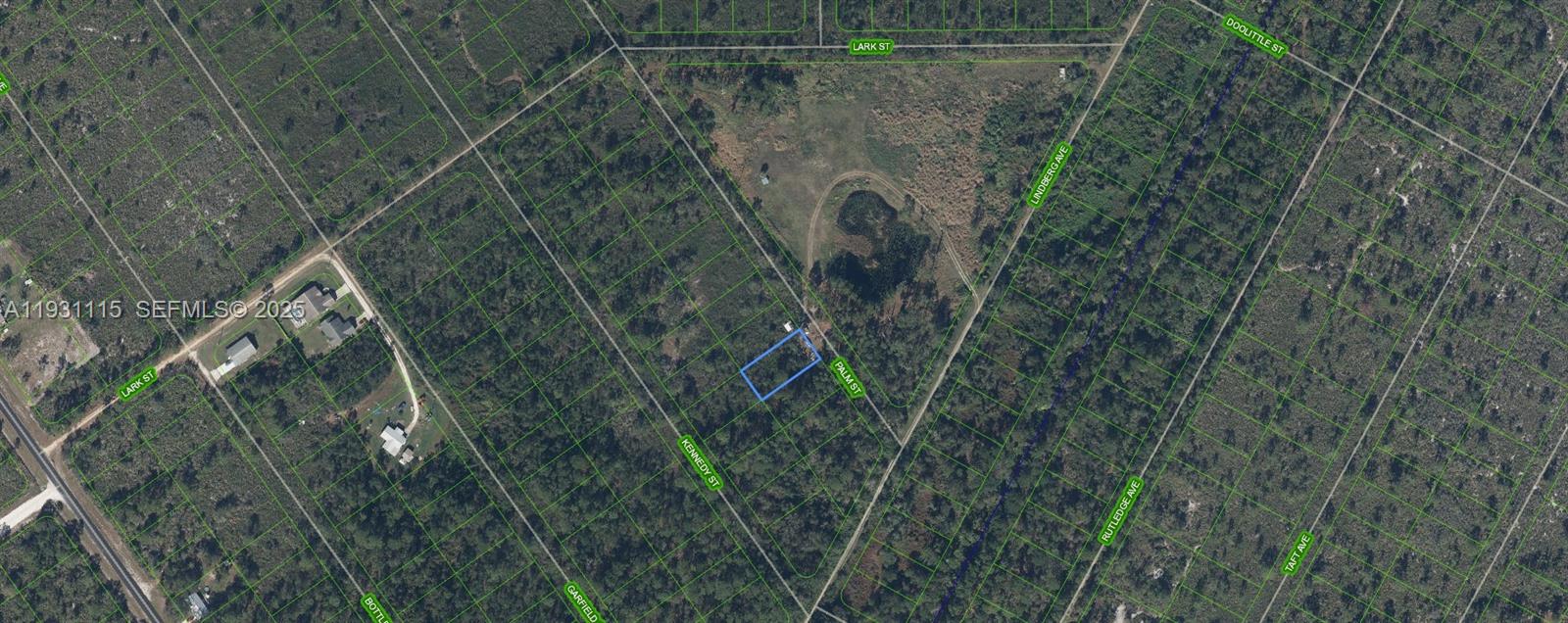 OWNER WILL FINANCE!!! 1K DOWN 243.93 A MONTH FOR 36 MONTHS AT 7% INTREST Lake Placid Florida, Quarter of an Acre, In Highlands Park Estates. Walking distance to Lake Istokpoga, where the Big Bass Bite! Highlands County has 100 Lakes and Affordable Golf, Highlands Hammock State Park, Many Bird Watching Parks where you will see the Scrub Jays! Nature Abounds all around, Kayaking, Bike Trails, Fishing! Get back to the Real Life in Lake Placid Florida!
