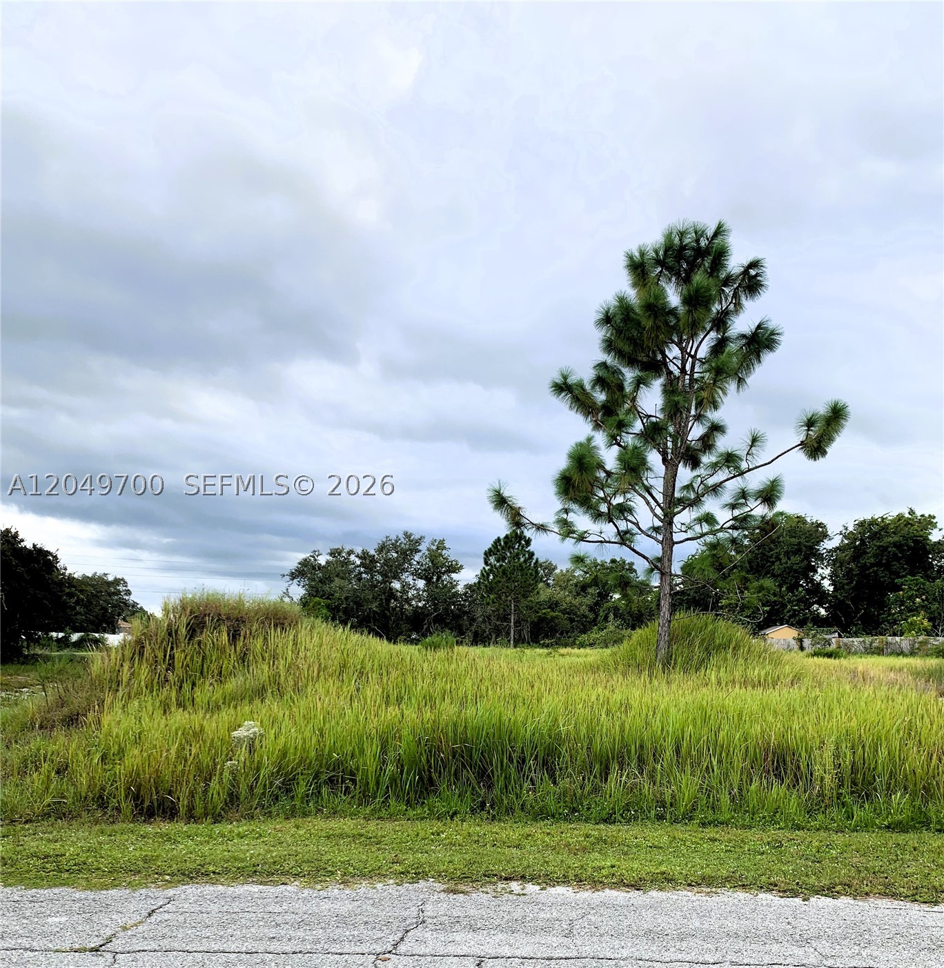POINCIANA NBRHD 2 WEST VIL - Land