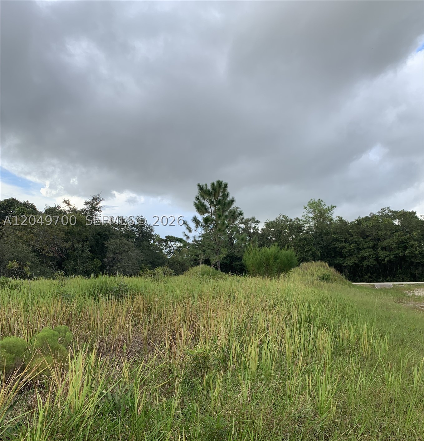 POINCIANA NBRHD 2 WEST VIL - Land