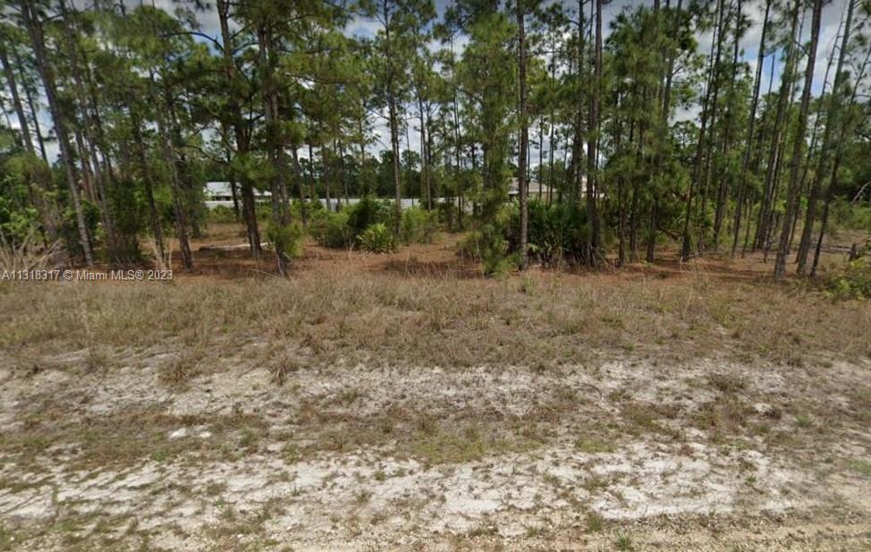 Lee County Unincorporated - Land