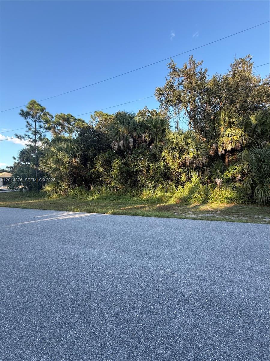 FERGUS ST LOT 1 BLK 1746 - Land