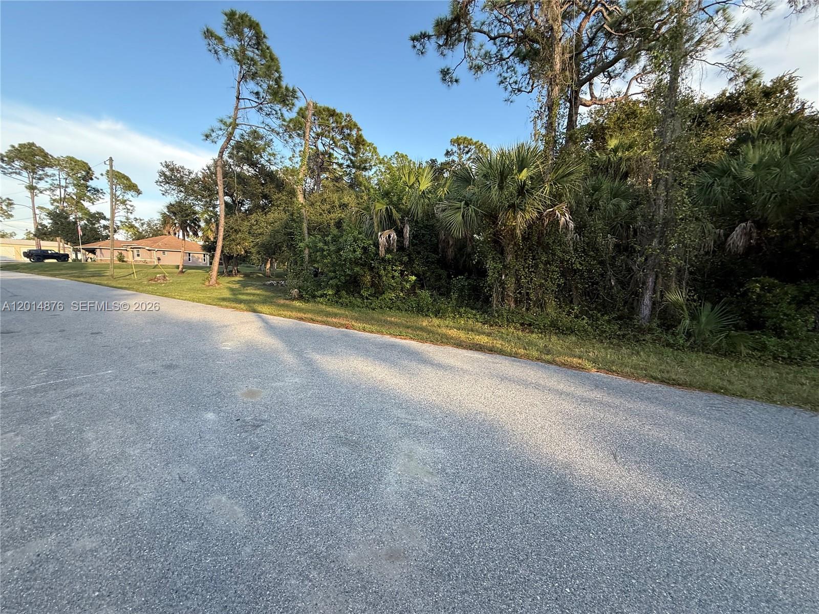 FERGUS ST LOT 1 BLK 1746 - Land