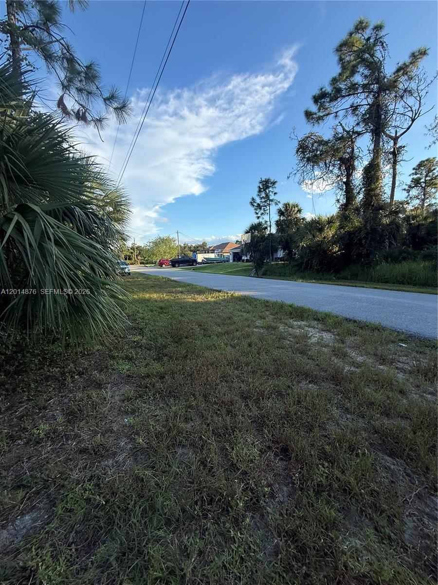 FERGUS ST LOT 1 BLK 1746 - Land