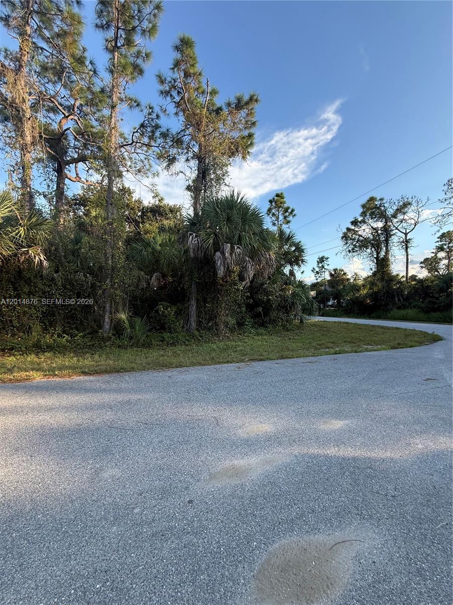 FERGUS ST LOT 1 BLK 1746 - Land