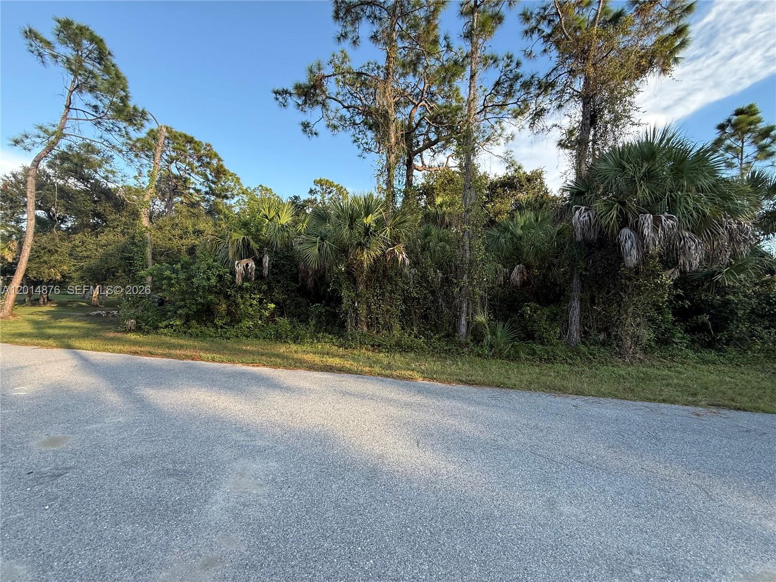 FERGUS ST LOT 1 BLK 1746 - Land