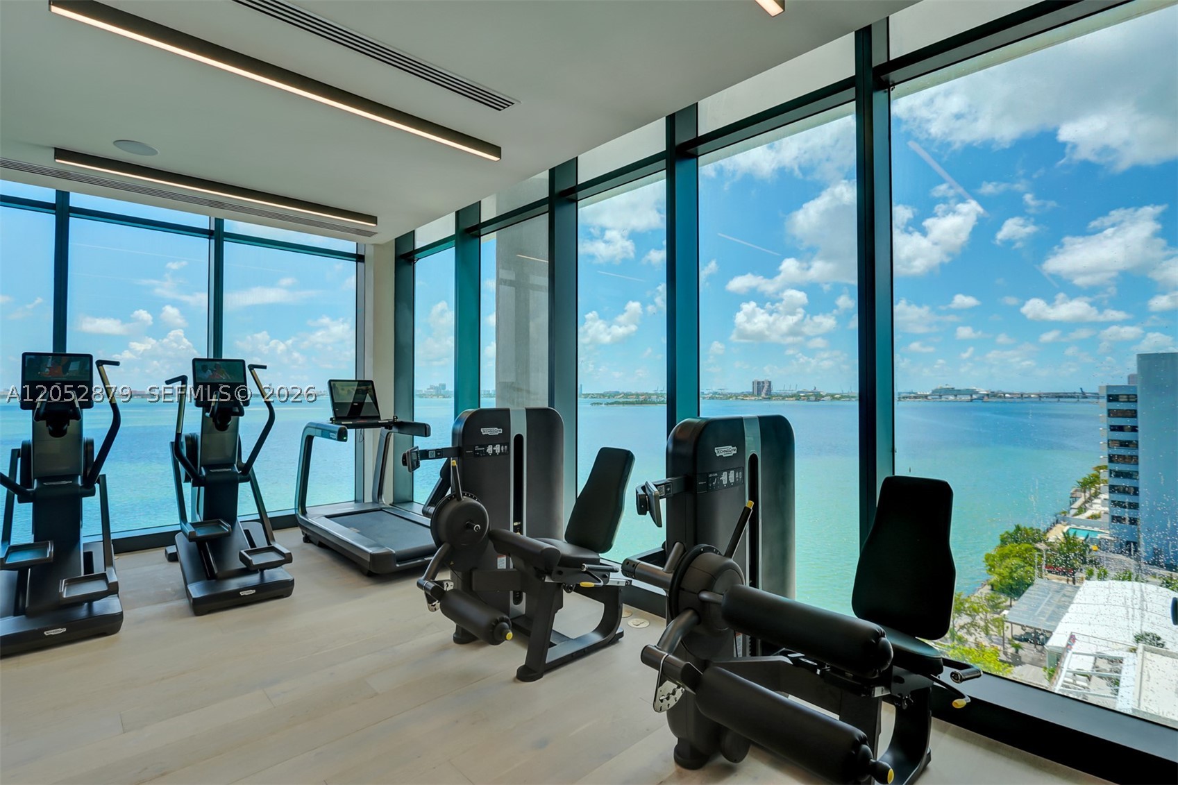 ONE PARAISO CONDO - Residential