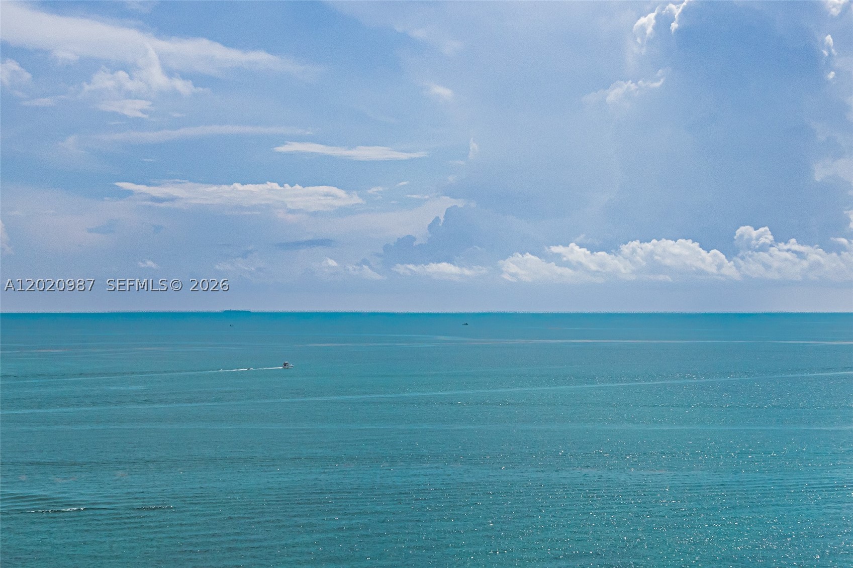 THE PALACE AT BAL HARBOUR - Residential