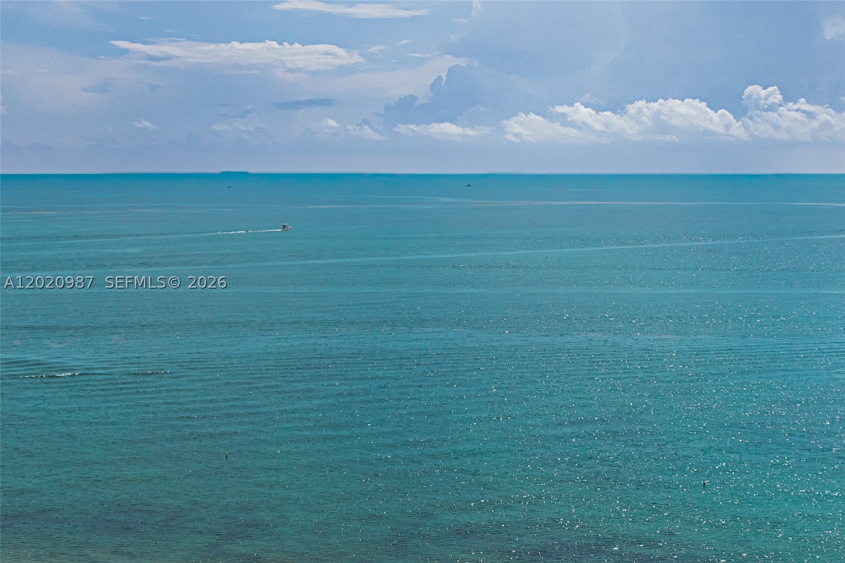 THE PALACE AT BAL HARBOUR - Residential