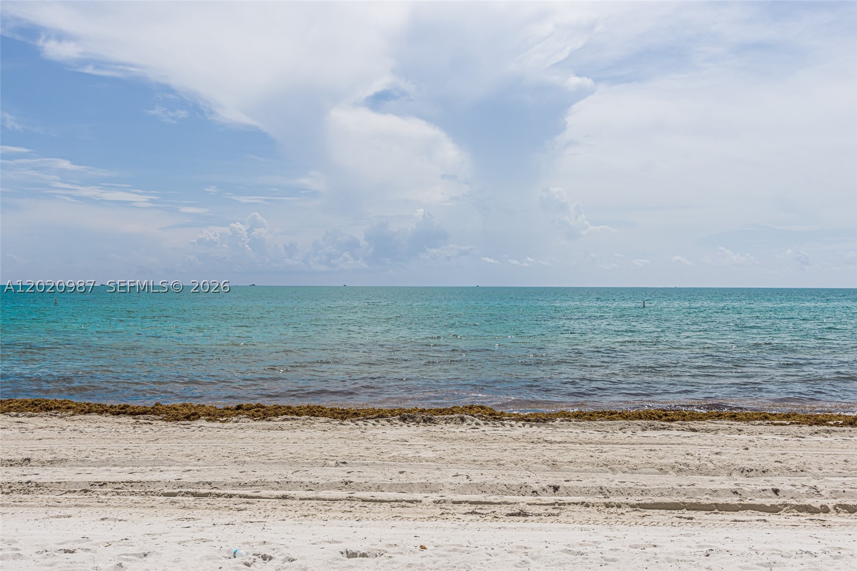 THE PALACE AT BAL HARBOUR - Residential