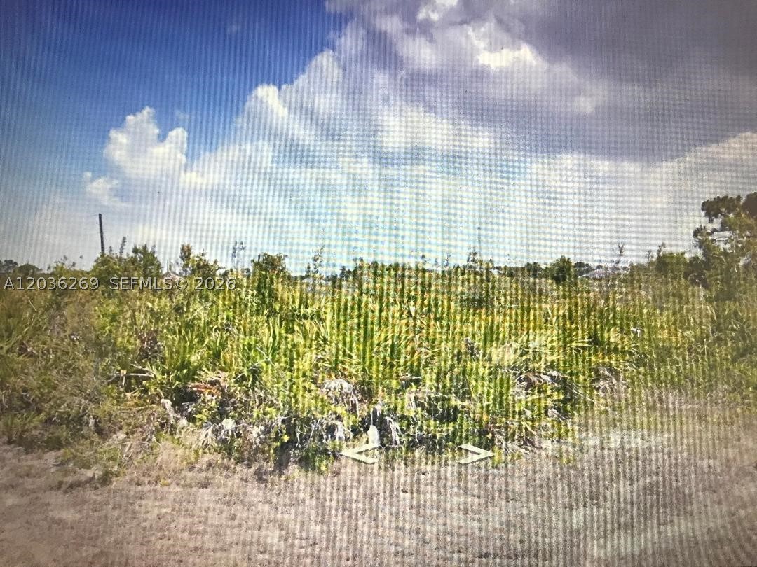 Great investment opportunity. Build your dream house on this large lot close to beaches, golfing and more. All the information provided is as last owner information. Buyer / buyer's realtor will have to do own research. Call or text Listing Agent for more information. Thank you.