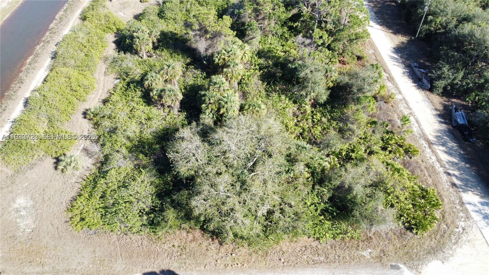 Lehigh Acres - Land
