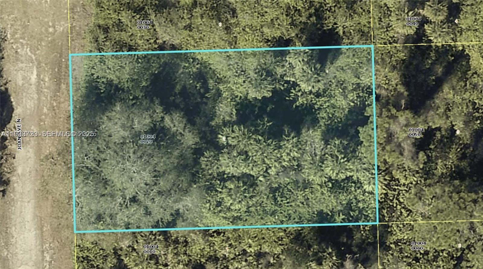 Lehigh Acres - Land