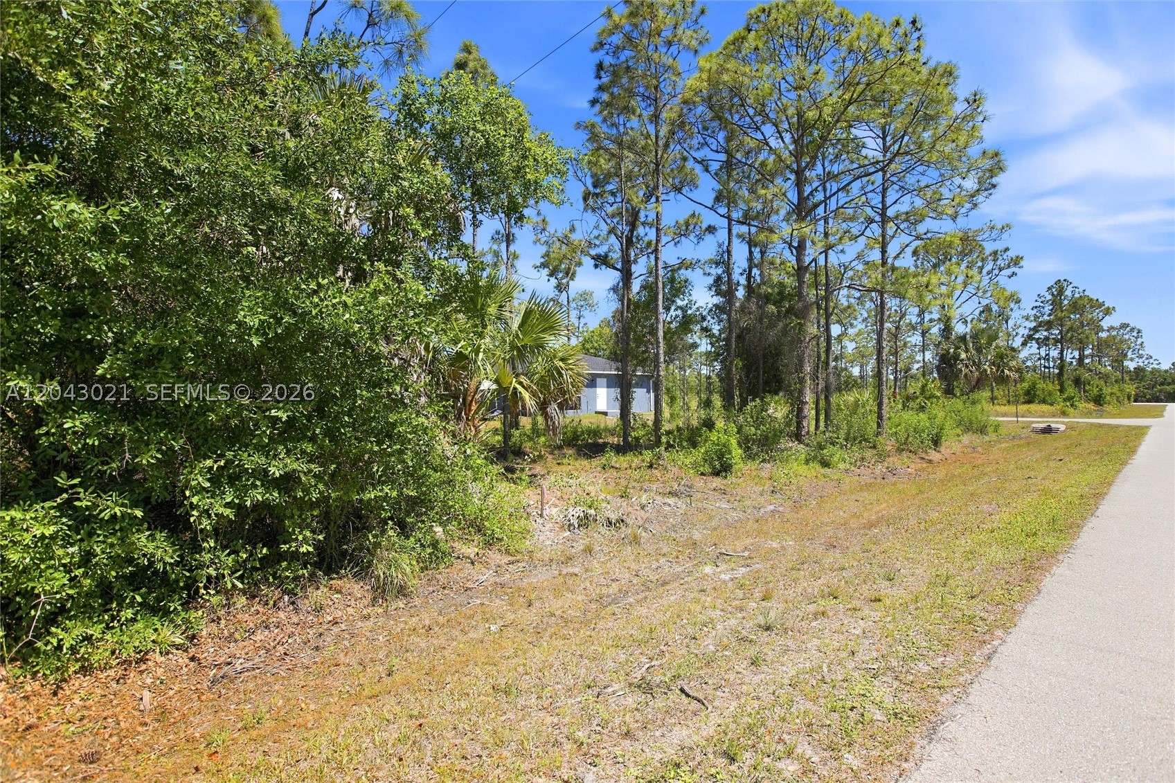 Tropical Gulf Acres - Land