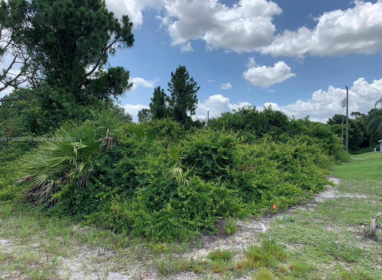 LEHIGH ACRES - Land