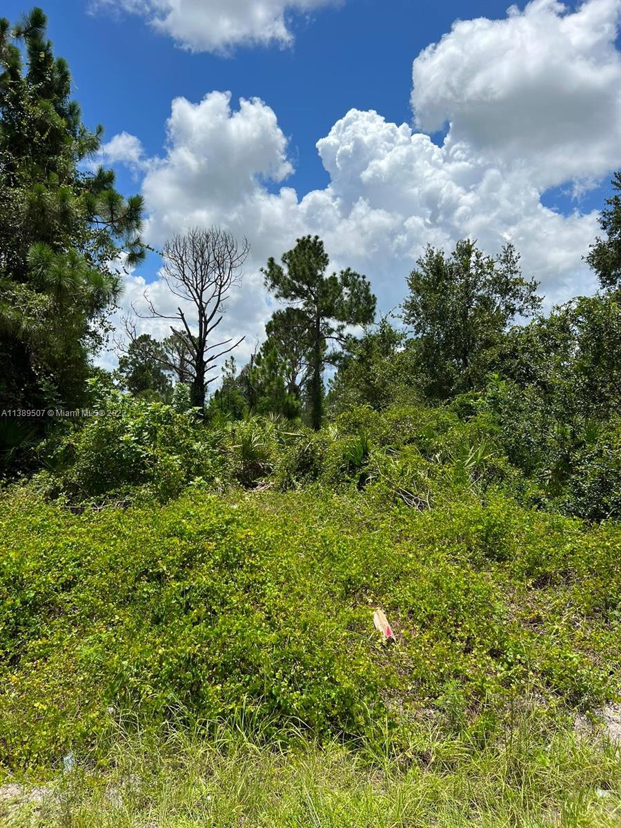 LEHIGH ACRES - Land