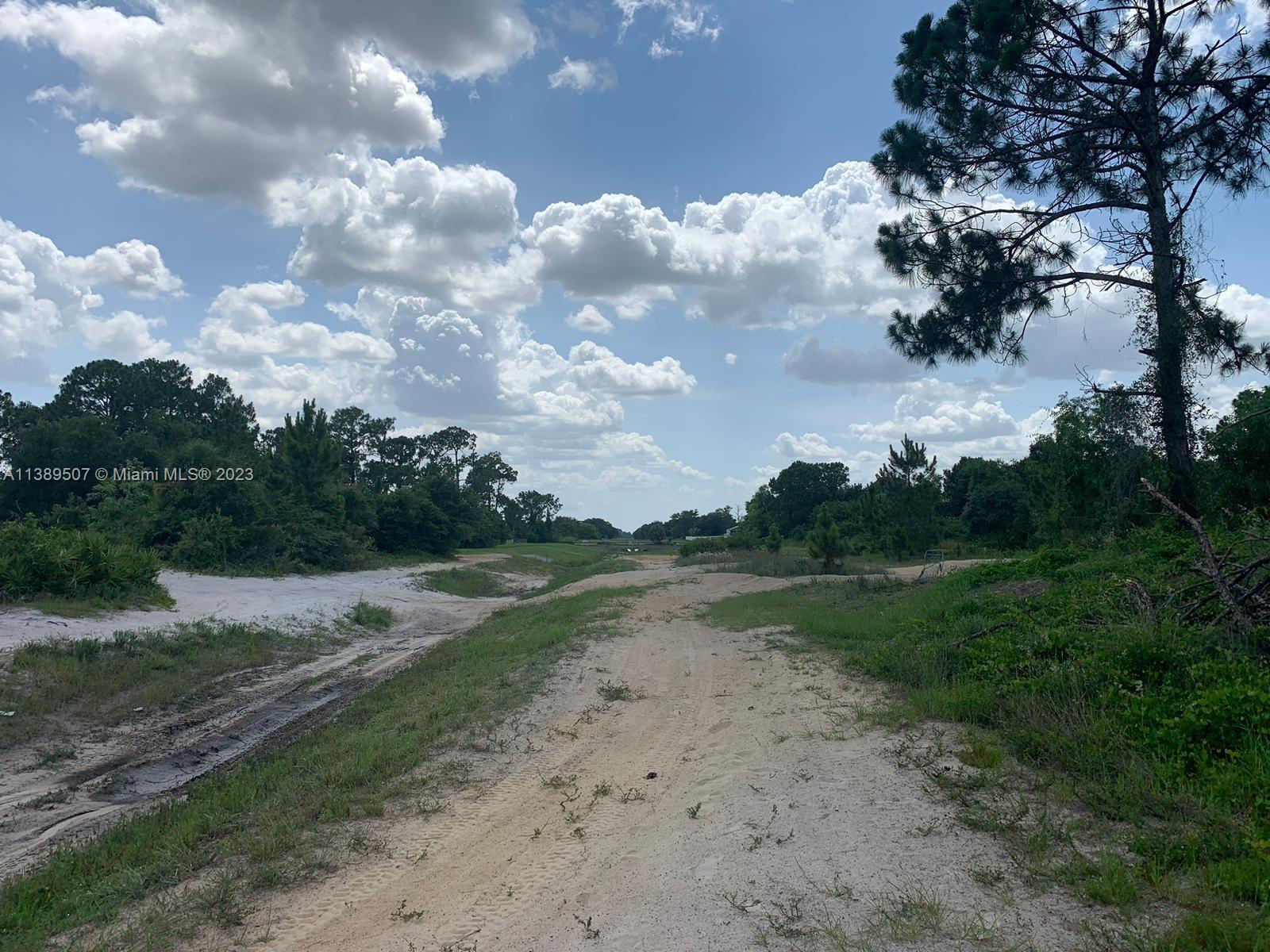 LEHIGH ACRES - Land