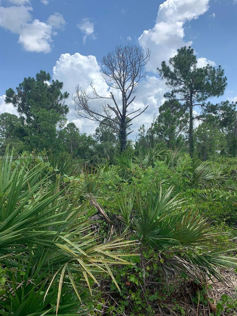 LEHIGH ACRES - Land