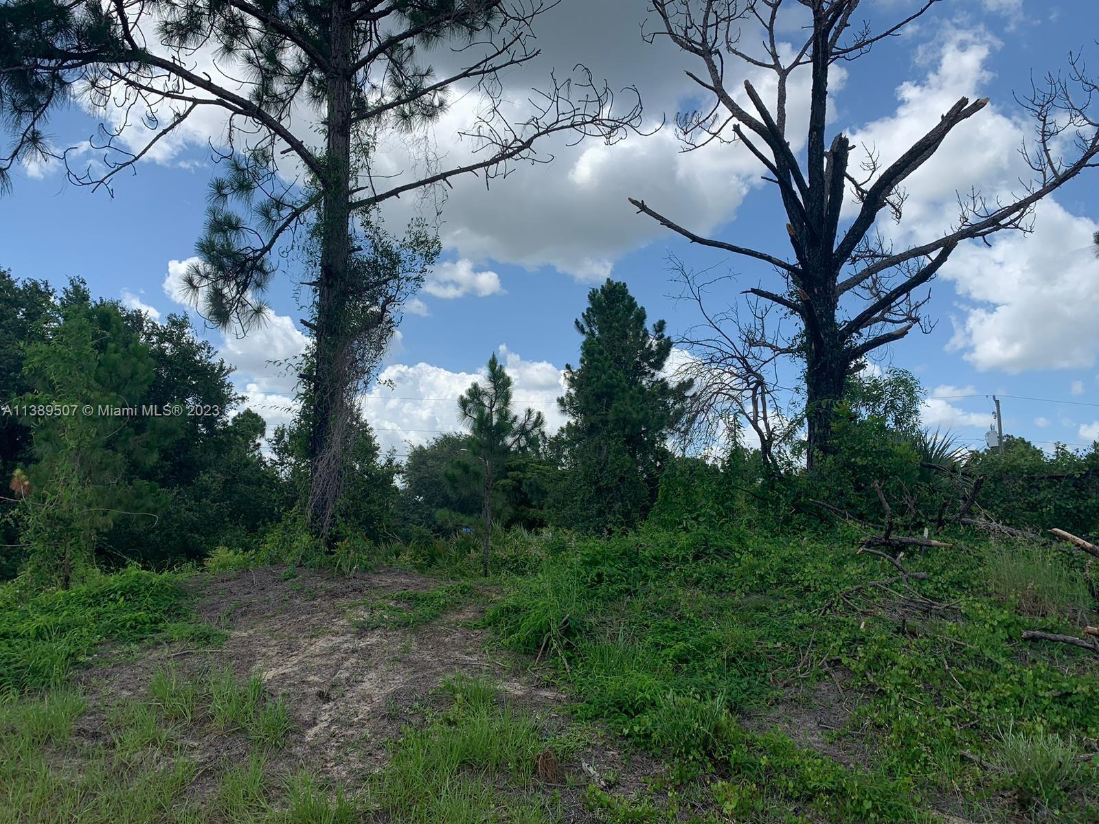 LEHIGH ACRES - Land