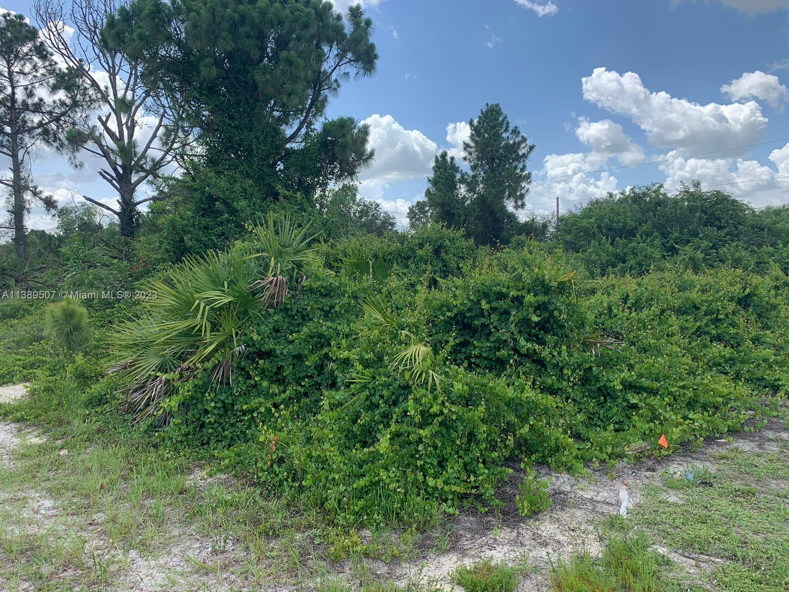 LEHIGH ACRES - Land