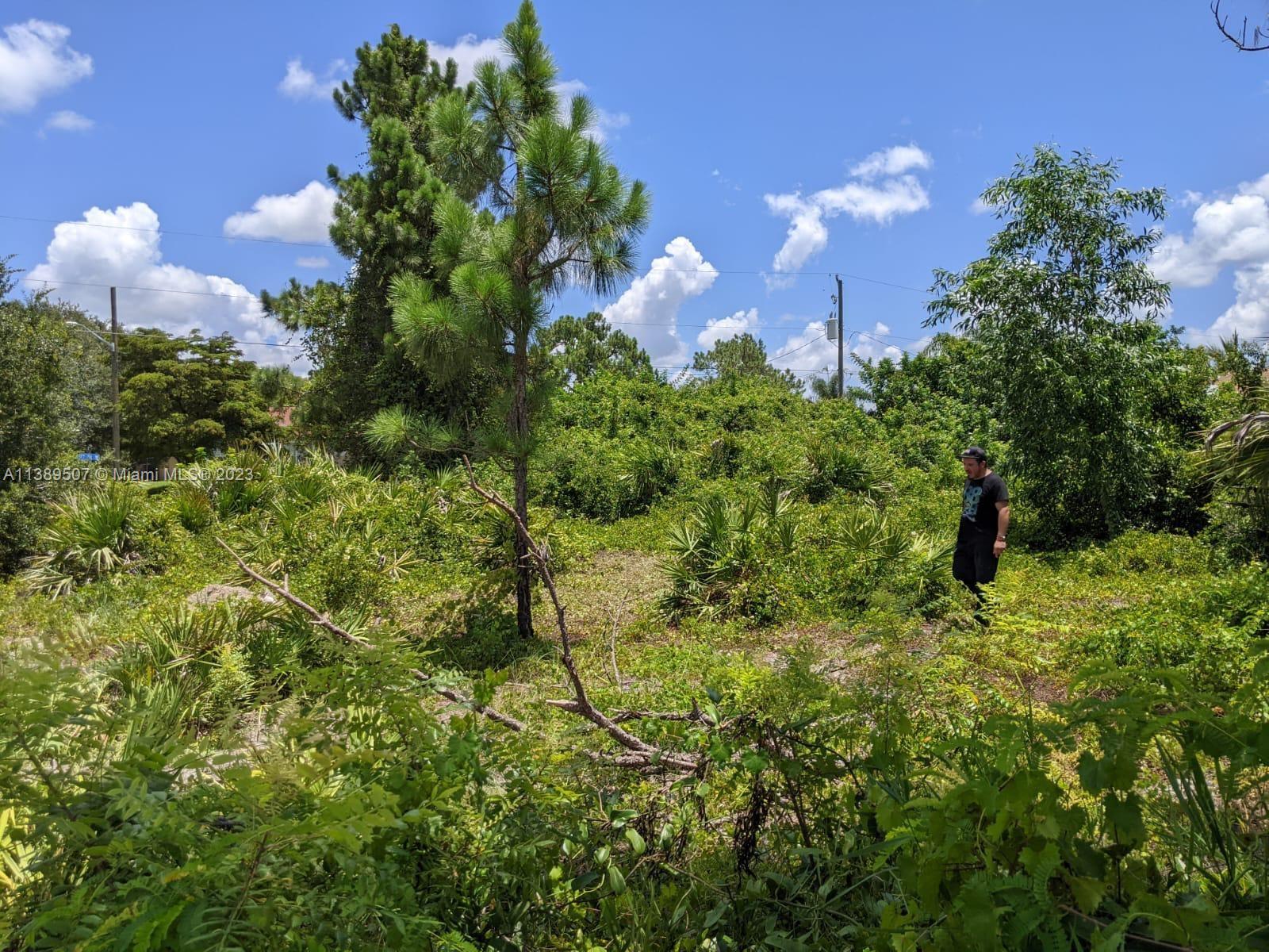 LEHIGH ACRES - Land