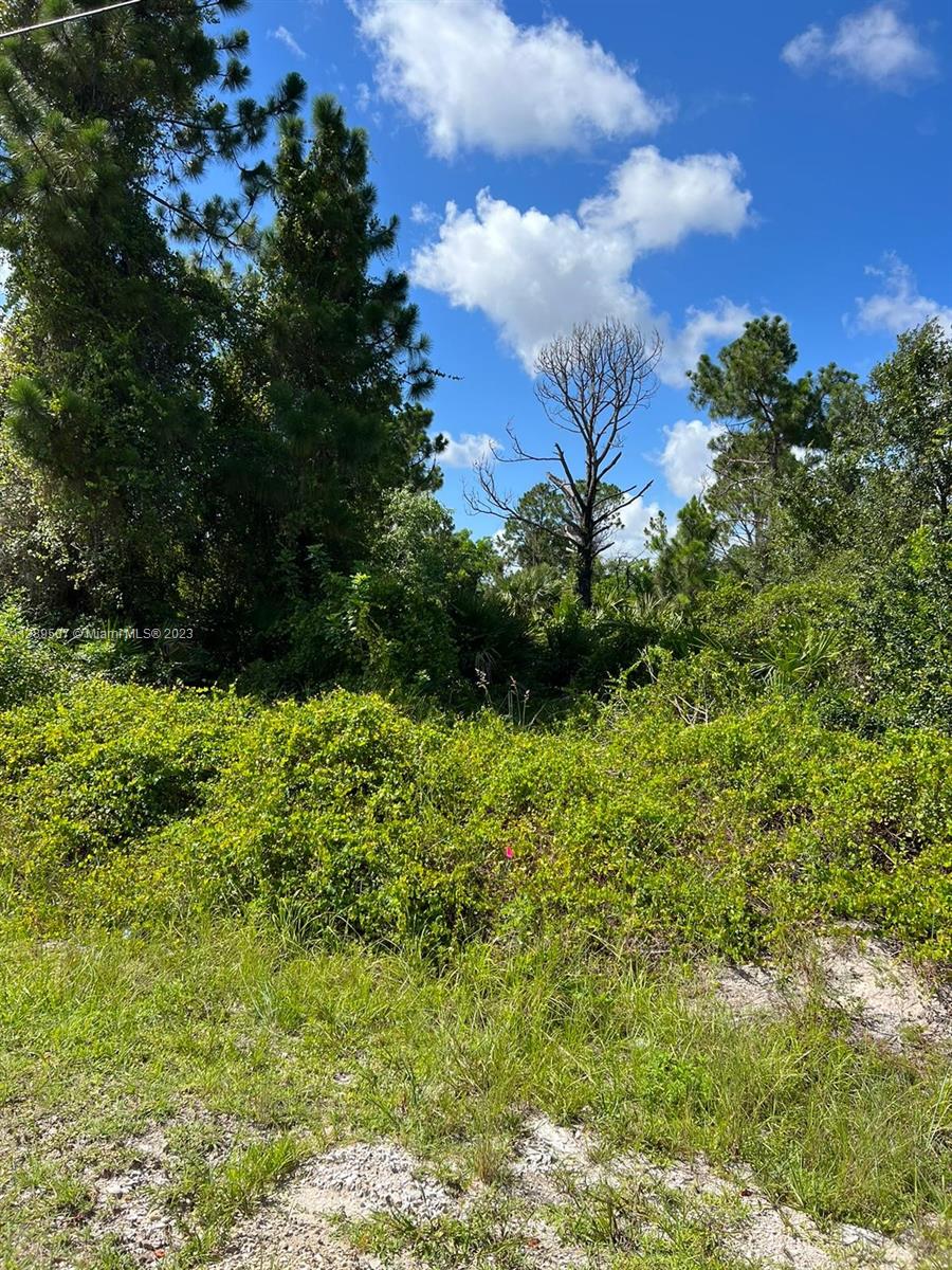 LEHIGH ACRES - Land