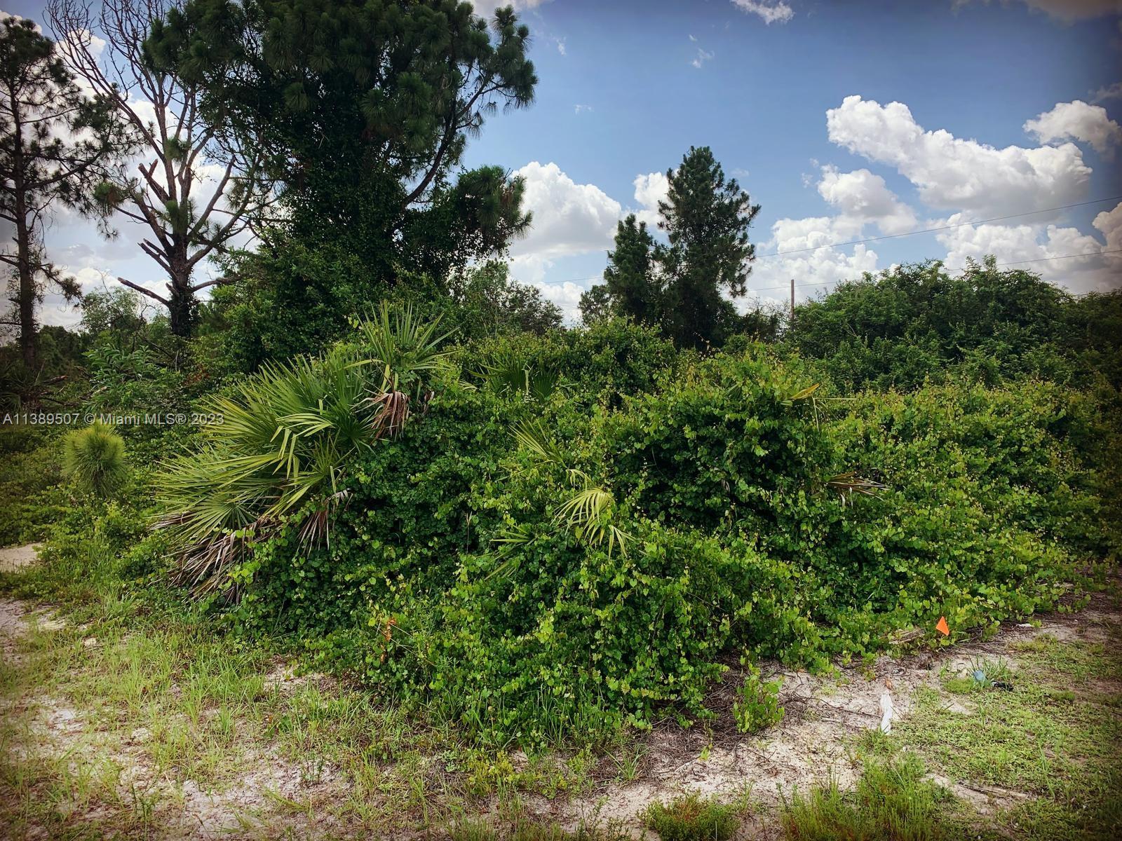 LEHIGH ACRES - Land