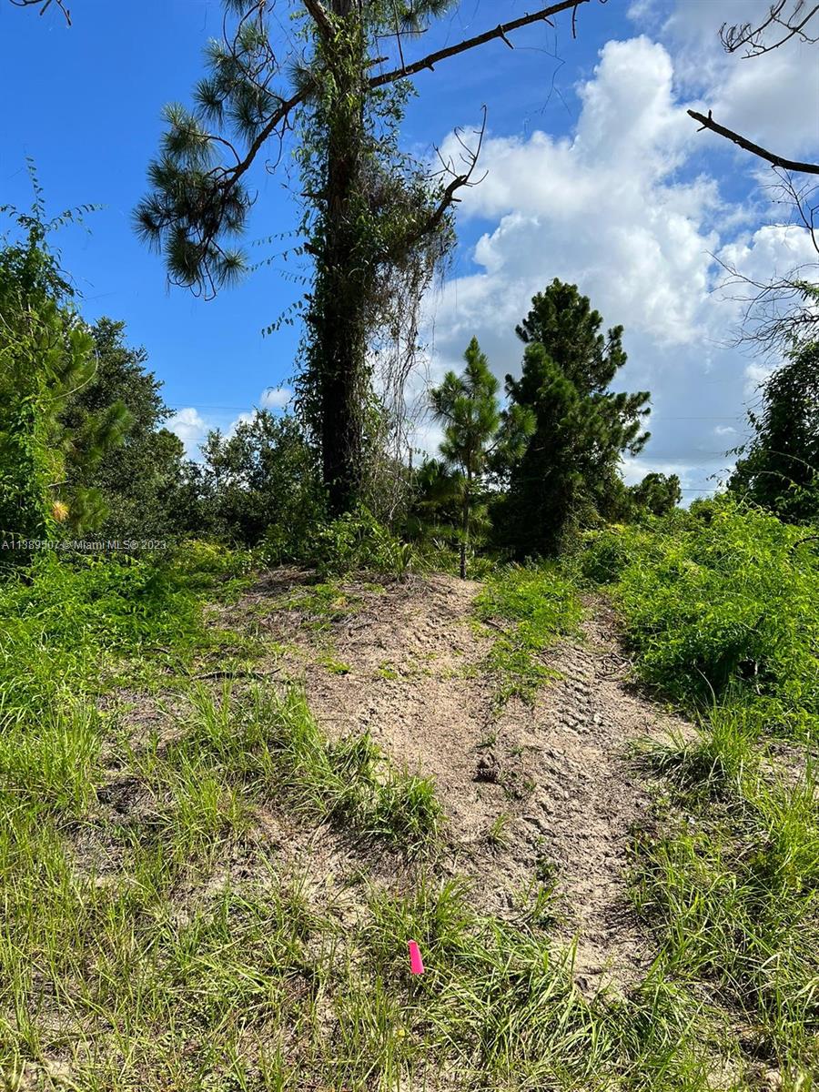 LEHIGH ACRES - Land