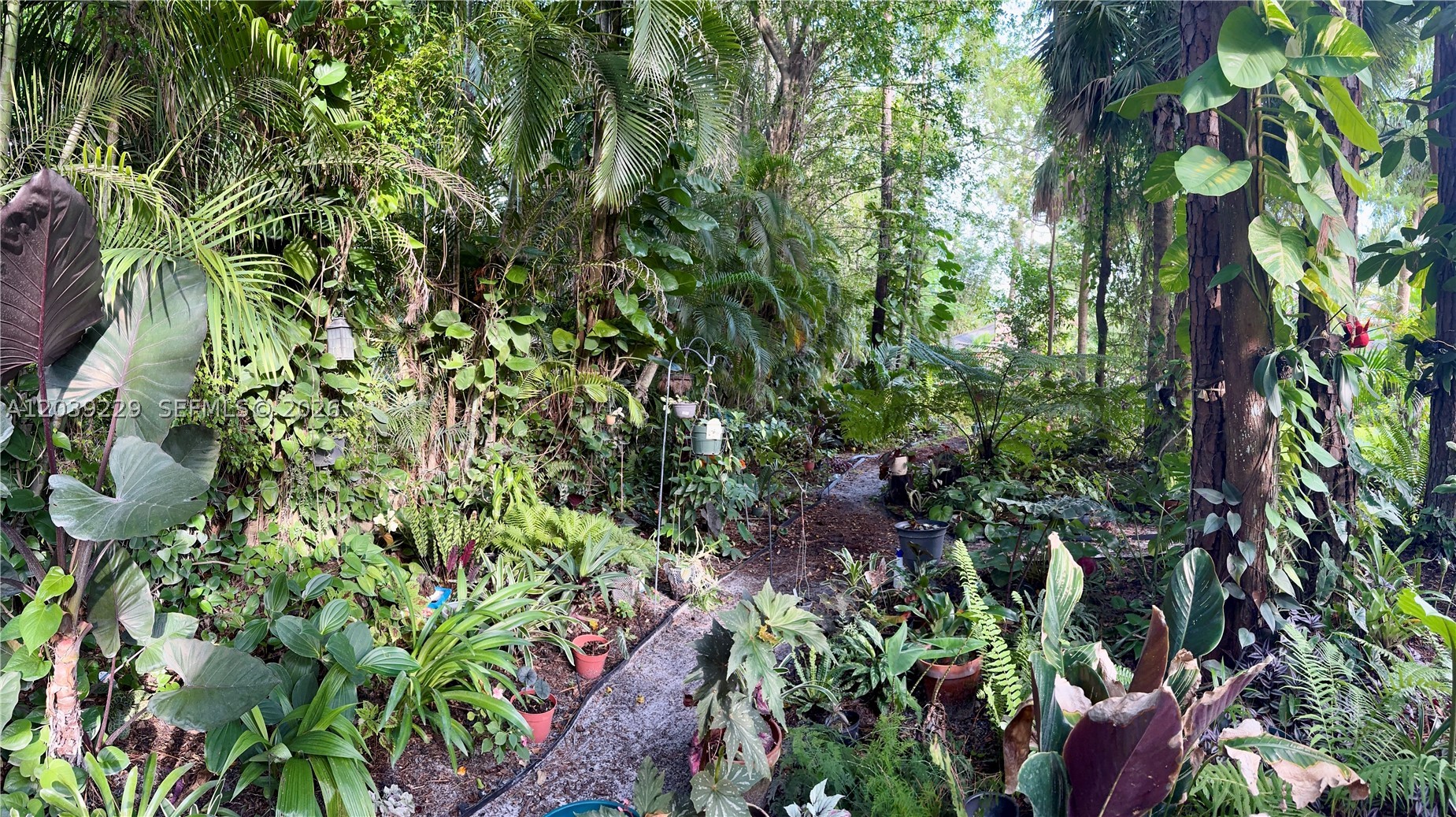 PINES OF WELLINGTON - Residential