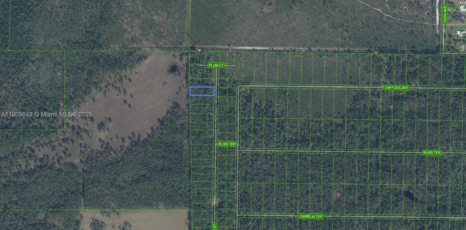 ORANGE BLOSSOM UNITS 10 - Land