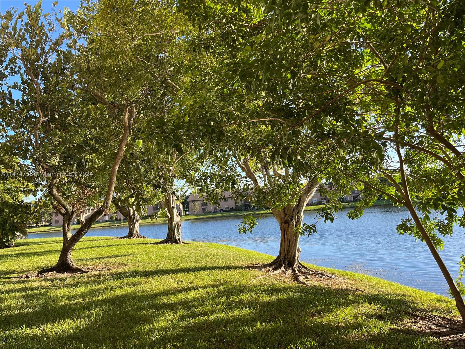 SUNRISE ISLAND CONDOMINIU - Residential