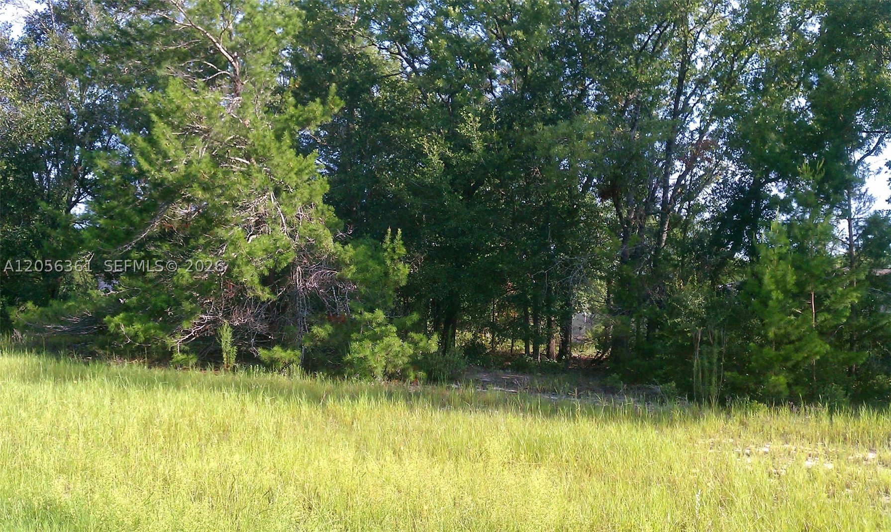 Marion Oaks - Land