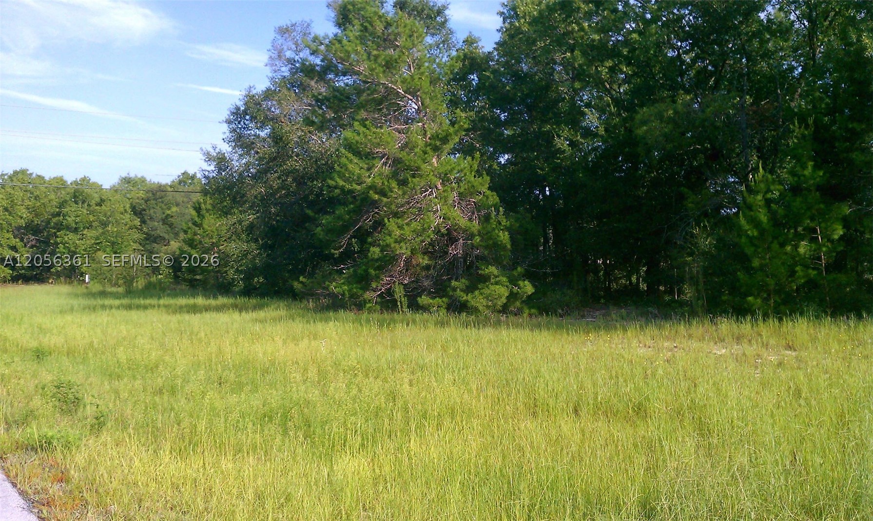 Marion Oaks - Land