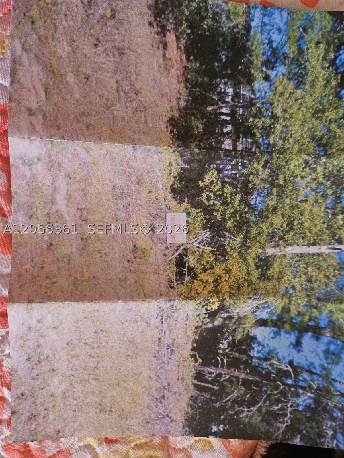 Marion Oaks - Land