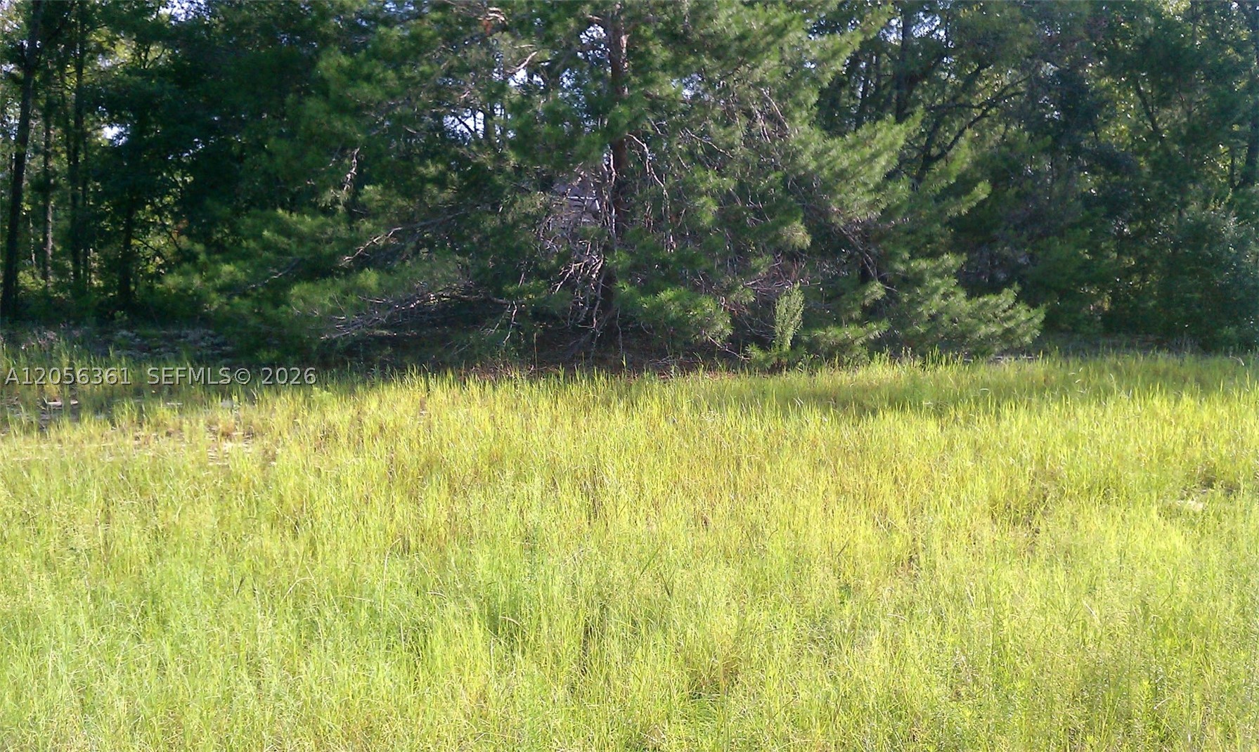 Marion Oaks - Land