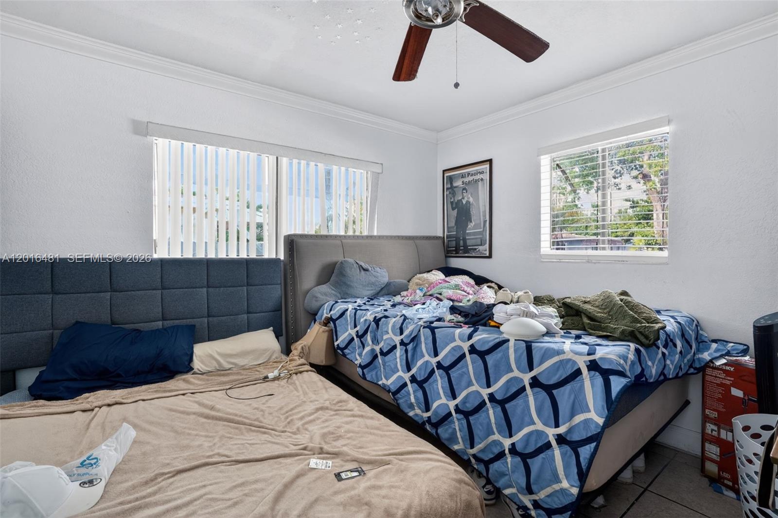 CARLILE TERRACE - Residential