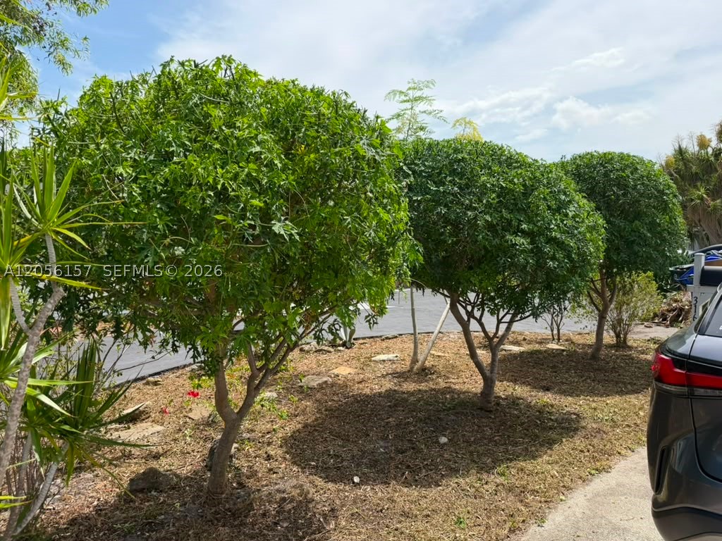 PALM-AIRE VILLAGE 2ND SEC - Residential